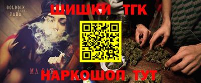 МДПВ Дубна