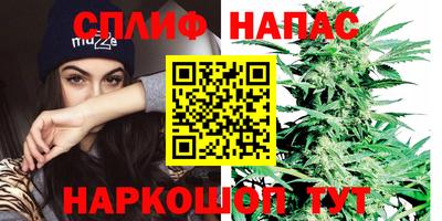 МДПВ Дубна