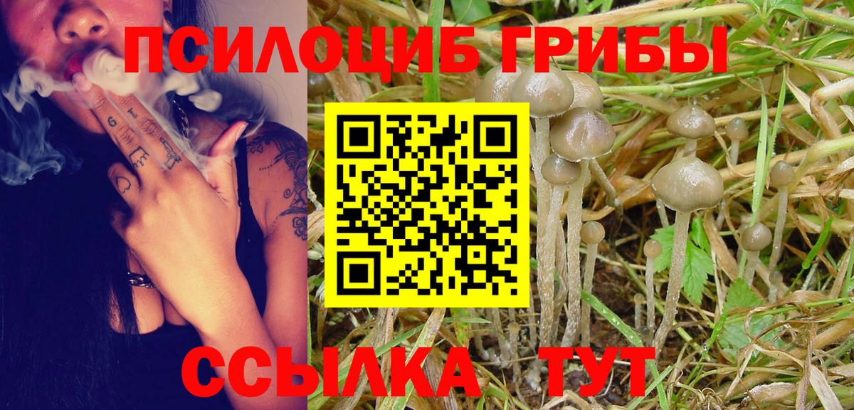 Луга  Галлюциногенные грибы ЛСД  Вход с VPN 